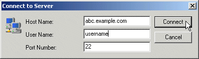 The Connect to Server dialog