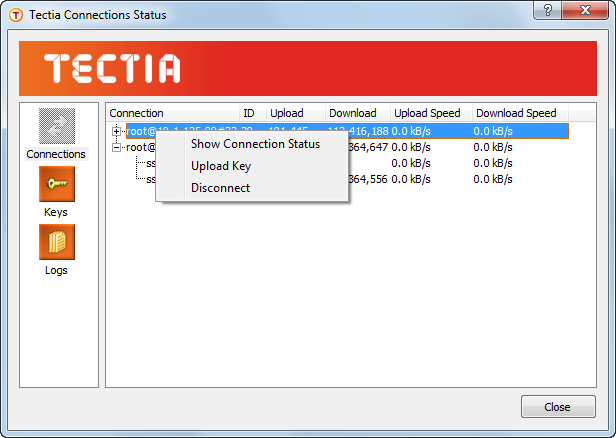 The Connections view of the Status window