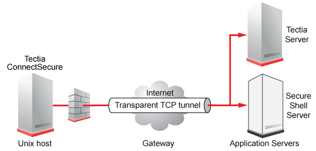 Transparent TCP tunnel securing Telnet connections